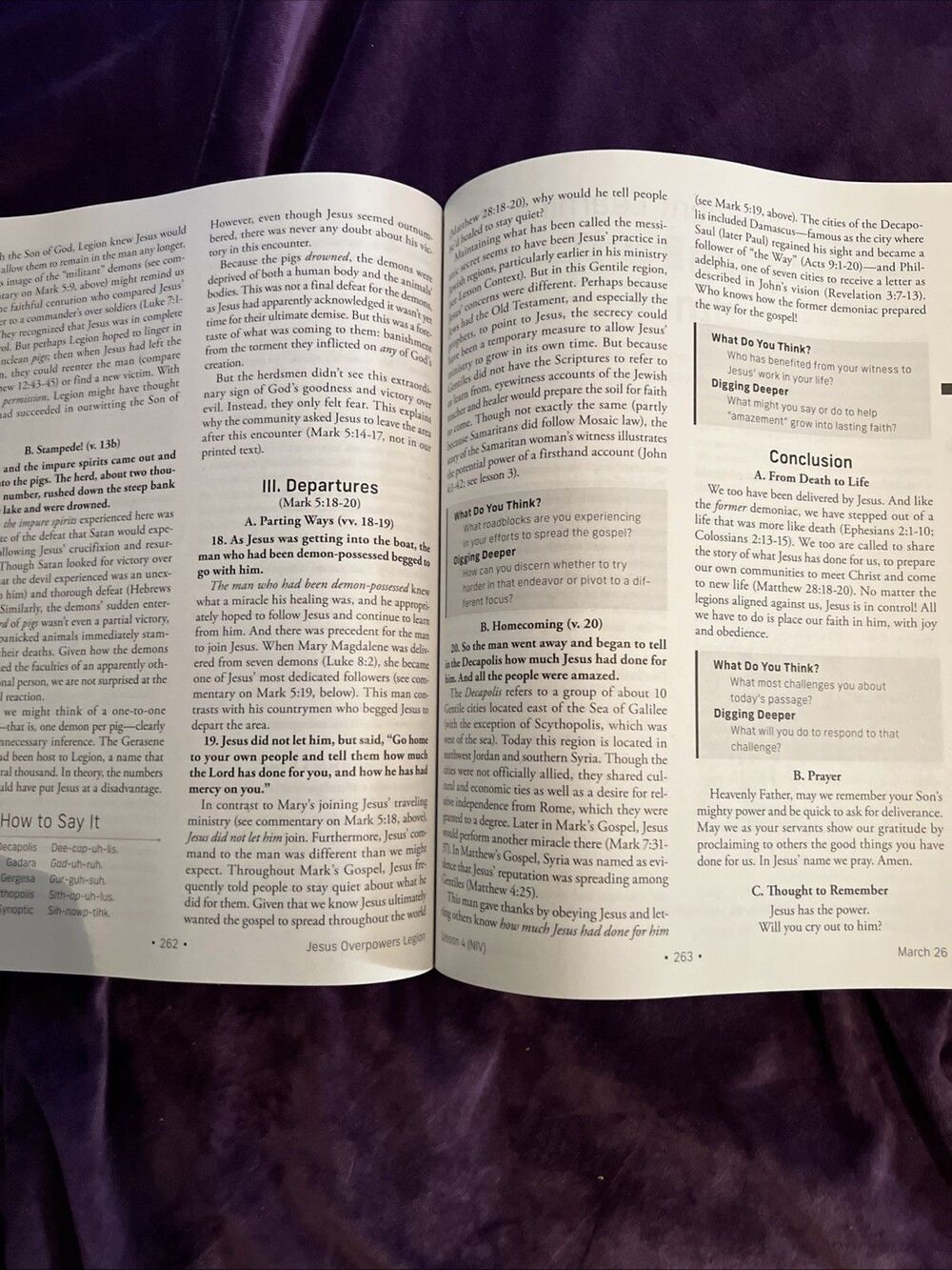 Standard Lesson Comm Ser.: NIV® Standard Lesson Commentary® Large Print Edition - Picture 8 of 10